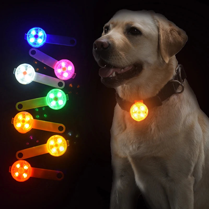 LED Pet Dog/Cat Collar Pendant | Night Safety Cat Luminous Light IPX7 Waterproof Flashing Harness With Light for Dog and Cat