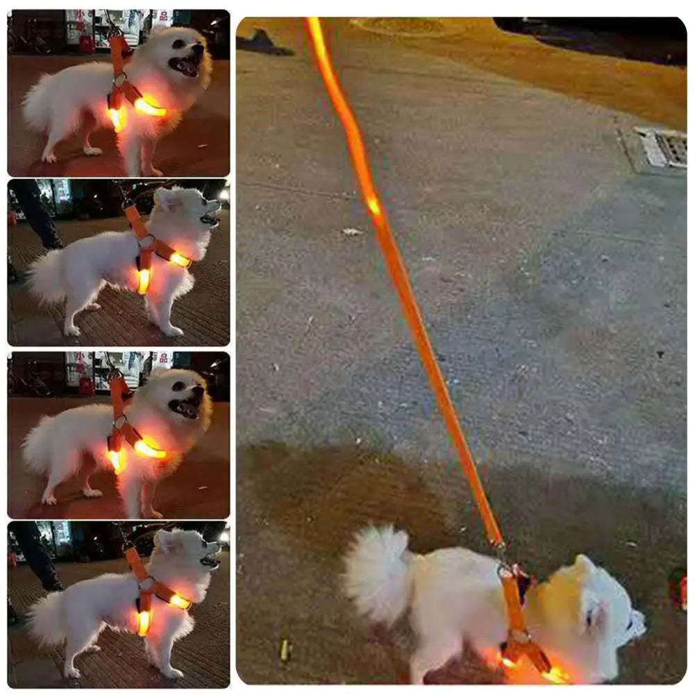 Adjustable LED Harness USB Rechargeable | Light Up Dog Harness | Glow-in-The-Dark Safety Vest | For Small Medium Dogs Pets Arnes