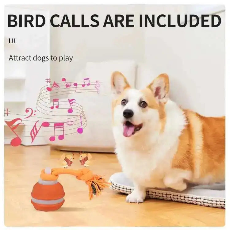 Smart Interactive Teasing Ball With Motion Activated Automatic Moving Squeaky Dog Toy Balls 
 Chew Toys Knot Rope