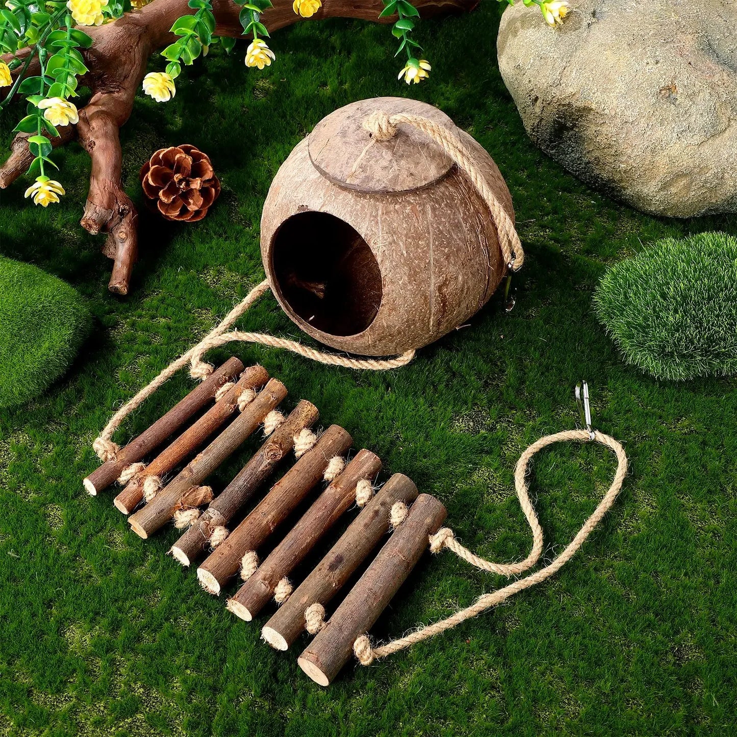 Coconut Shell Reptile Hideout with Ladder, Terrarium Tank Decor for Lizards & Geckos