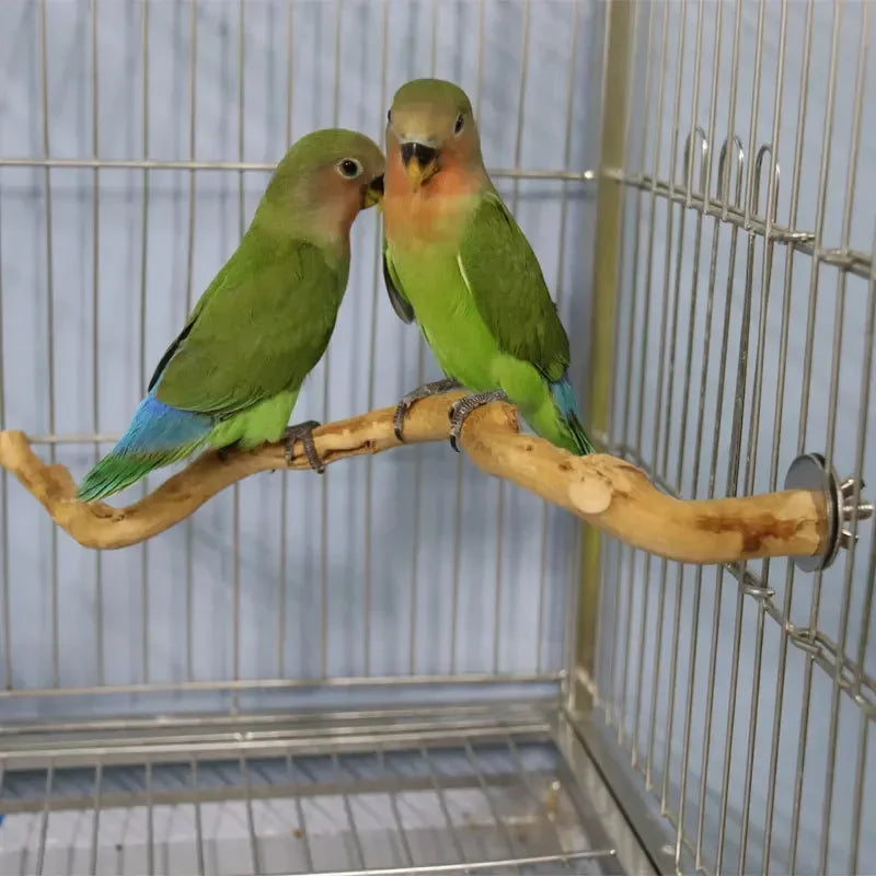 Standing Stick Wild Grape Wood Pole for Parrot/Cockatiel/Parakeet | Bite Claw Grinding Toy Bird Cage Accessories