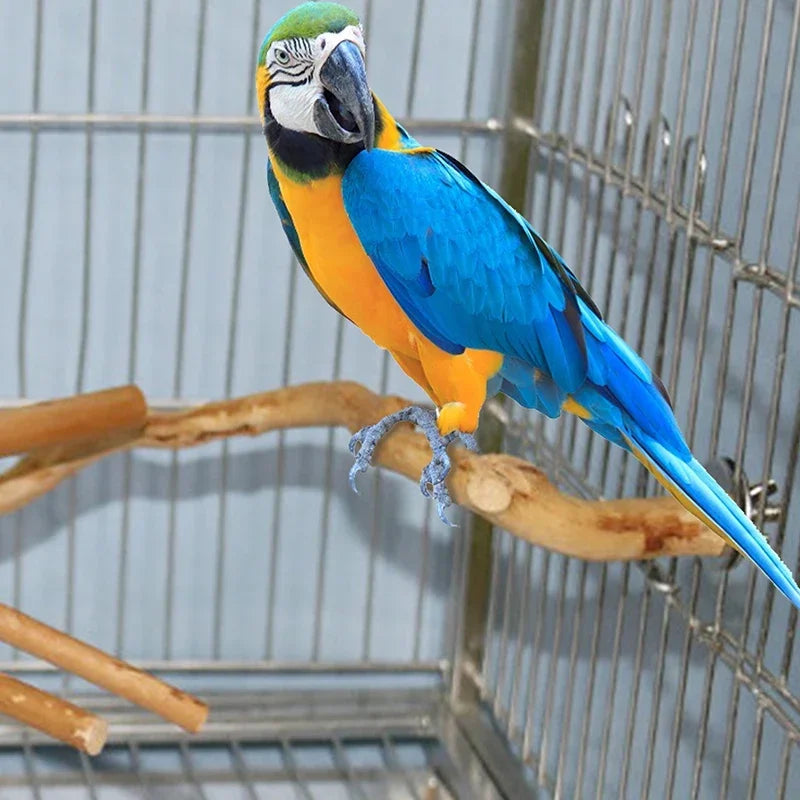 Standing Stick Wild Grape Wood Pole for Parrot/Cockatiel/Parakeet | Bite Claw Grinding Toy Bird Cage Accessories