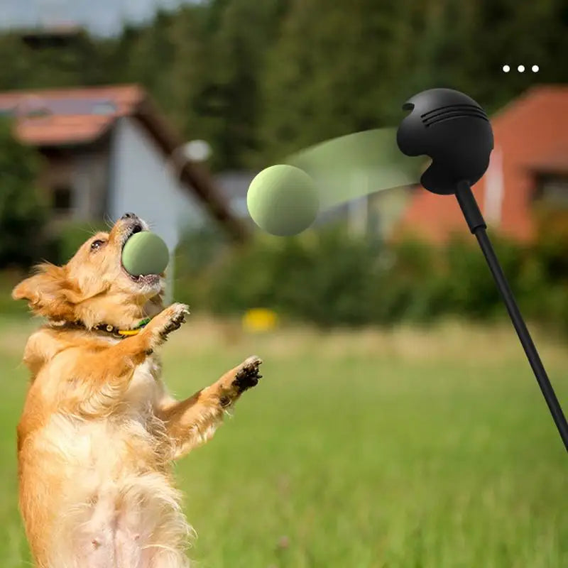 Dog Toys Throwing Pole Stick | Tennis Launcher Pole Outdoor Training Toys