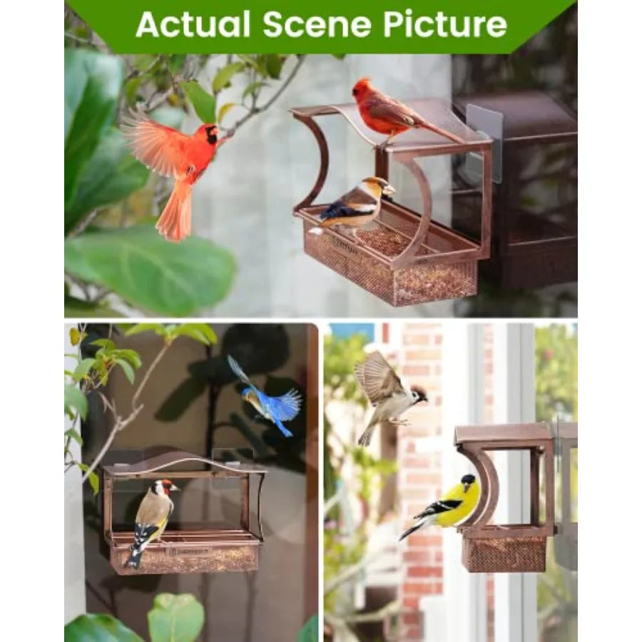 【Spot goods】Window Bird Feeder Metal - with Strong Suction Cups Large Outdoor for Viewing Bird Watching Gift Curved